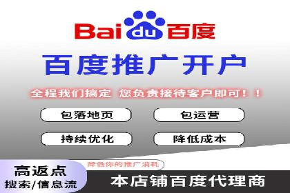 百度品牌专区推广的成效与案例